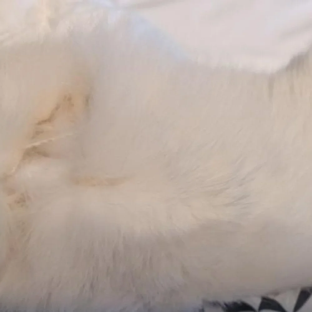 Utex Design White Down Puffer Coat w/ Fur Trim - Picture 8 of 8